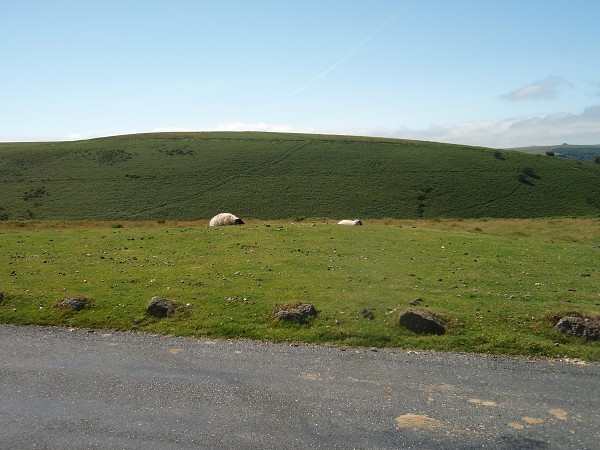 Dartmoor