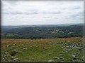 Dartmoor