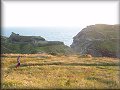 Tintagel Castel