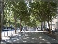 Nimes Avenue Feuchéres