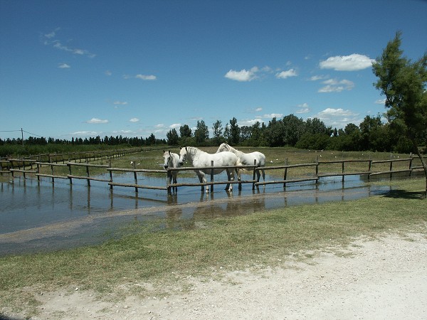 Provence 07