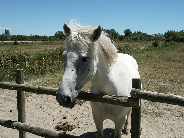 Provence 07