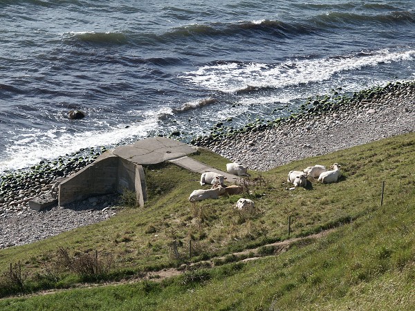 Bornholm a jižní Švédsko