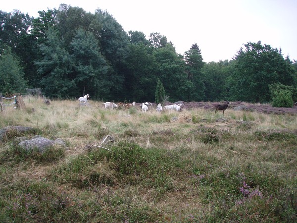 Bornholm a jižní Švédsko