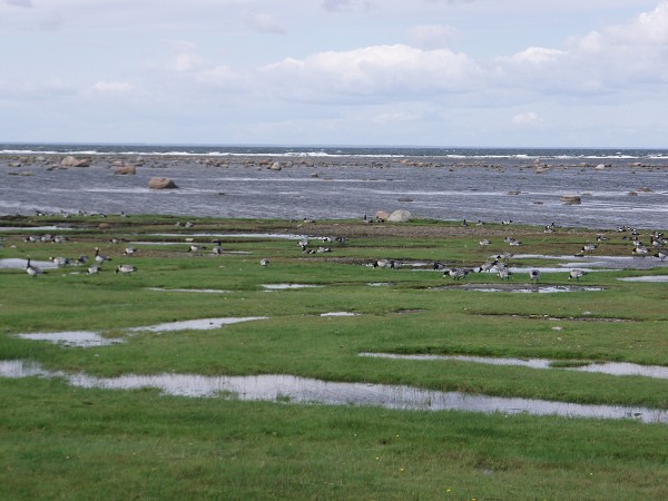 Bornholm a jižní Švédsko