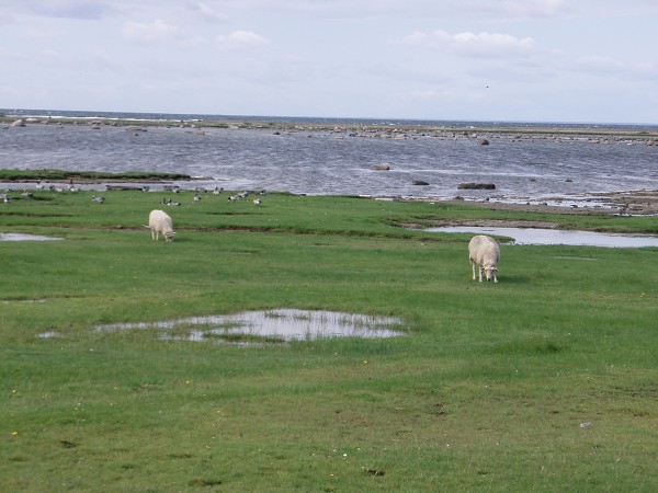 Bornholm a jižní Švédsko