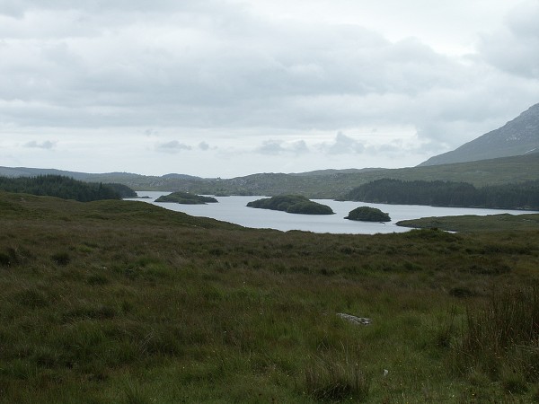 NP Connemara