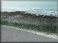 Etretat
