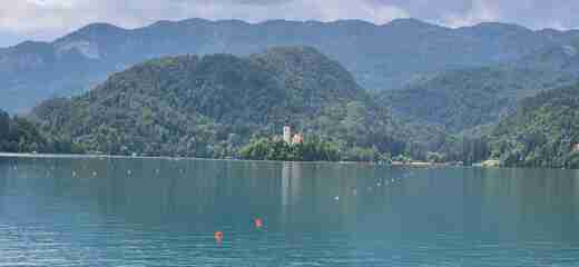Bled
