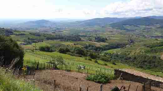 03 Beaujolais