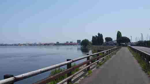 16 Grado