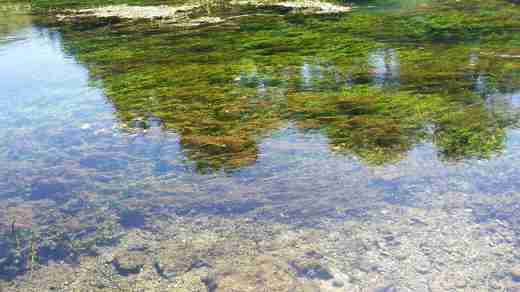 20  Fontaine de Vaucluse