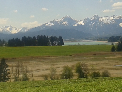 20160507_123158.jpg