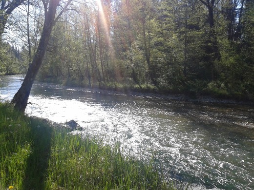 20160508_093339.jpg