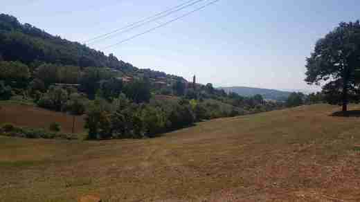 03 Petricci