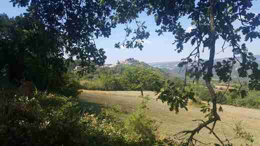 05 Semproniano
