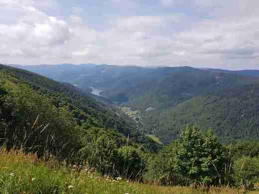 20170721_110846.jpg