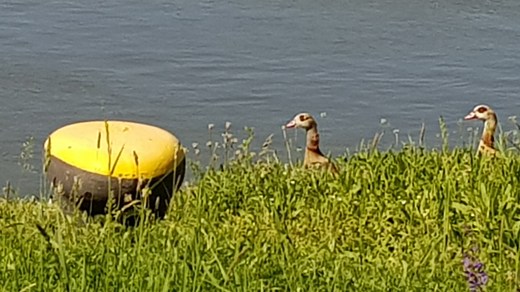 20180506_110045.jpg