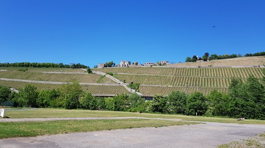 20180506_143131.jpg