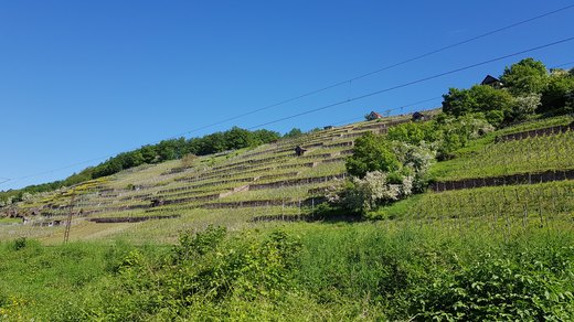 20180507_095554.jpg