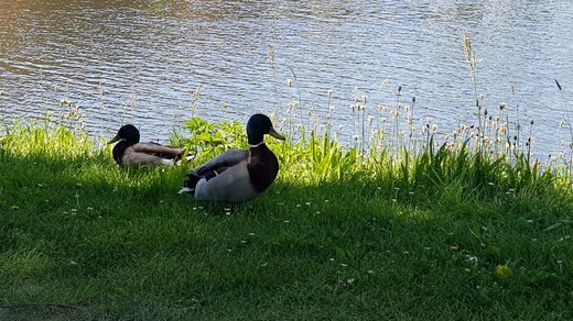20180507_124545.jpg