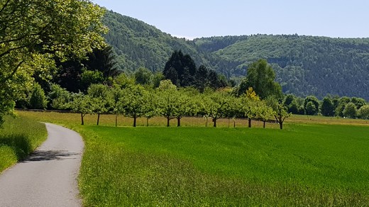 20180507_131129.jpg