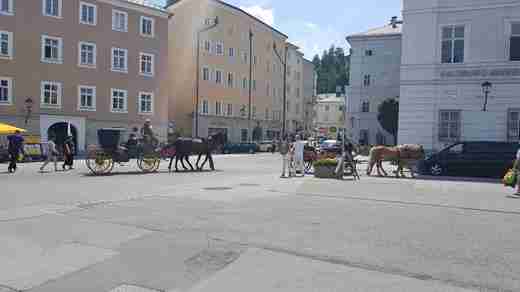 20180709_123831.jpg