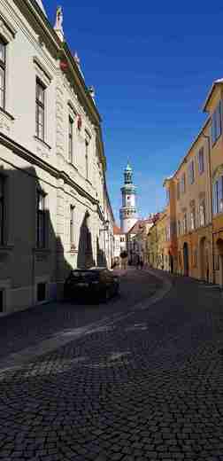 20180930_114148.jpg