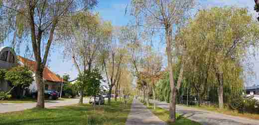 20181001_103500.jpg