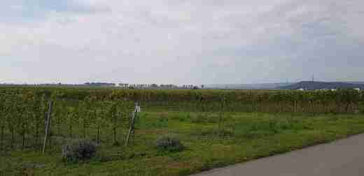 20181001_105322.jpg