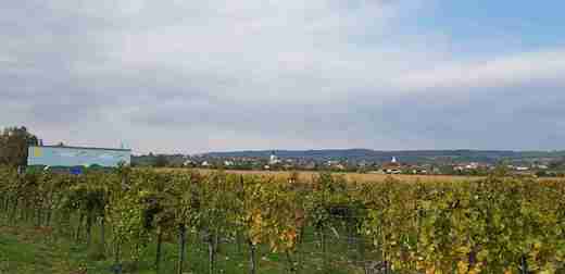20181001_111722.jpg