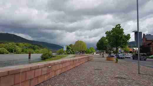 20190511_111500.jpg