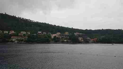 20190526_075510.jpg