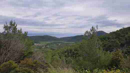 20190529_105434.jpg