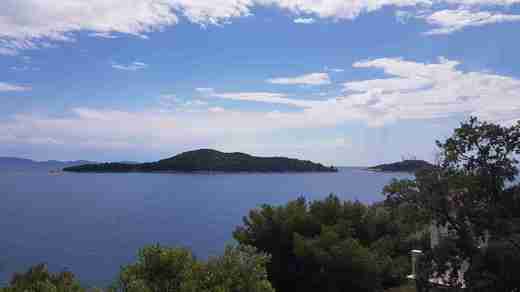 20190529_143043.jpg