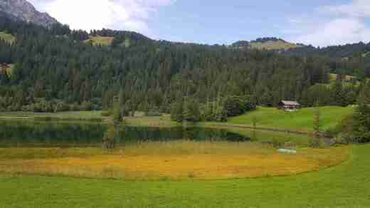 20190828_111852.jpg