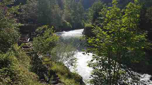 20190830_133758.jpg