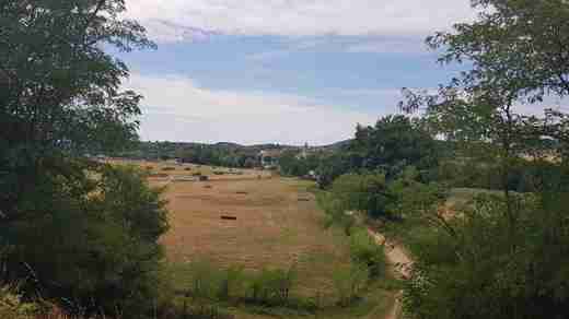 20200813_130944.jpg