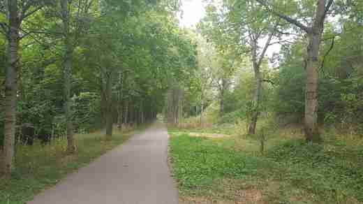20200813_161144.jpg