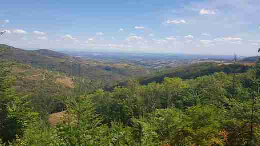20200815_134552.jpg