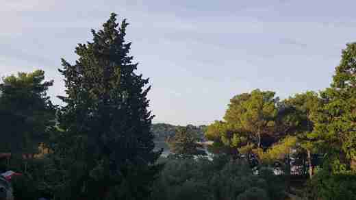 20200910_074118.jpg