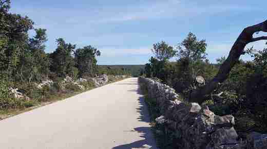 20200910_110556.jpg