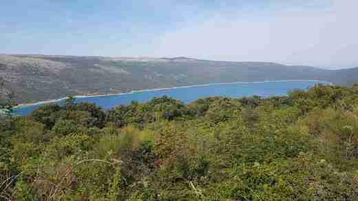 20200910_113919.jpg