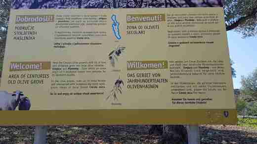 20200913_144705.jpg