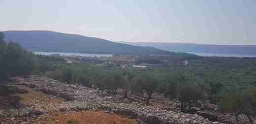 20200915_132244.jpg