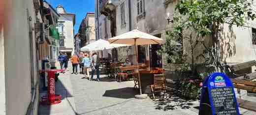 20210602_115128.jpg - Koper