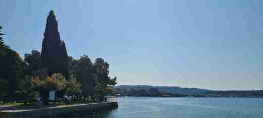 20210605_094637.jpg