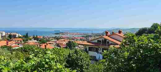 20210605_104405.jpg - Izola