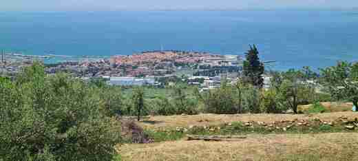 20210606_143223.jpg - Izola