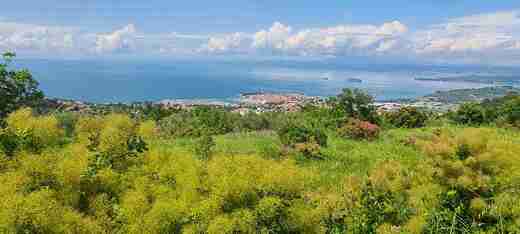 20210606_145427.jpg - Izola